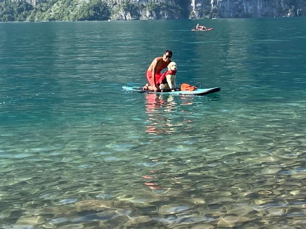 Doodle'S Amazing Chalet -Walensee - Flumserberg - Churfirsten - Heidiland - Pool - Sauna Мольс Экстерьер фото